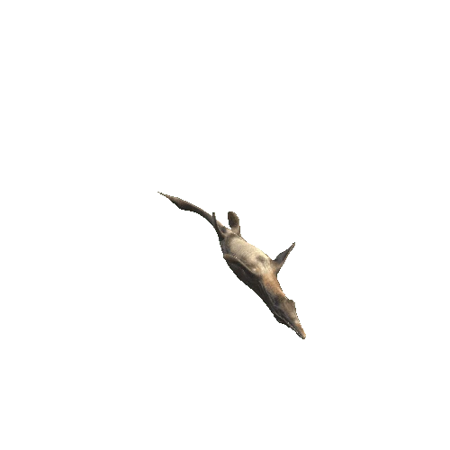 27_Tylosaurus_Somersault_Backward_Swim_Anim 1